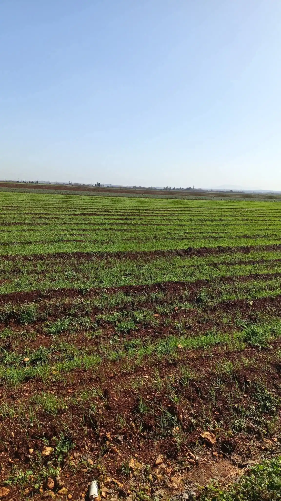 syria house property sale land hama ih zt card image