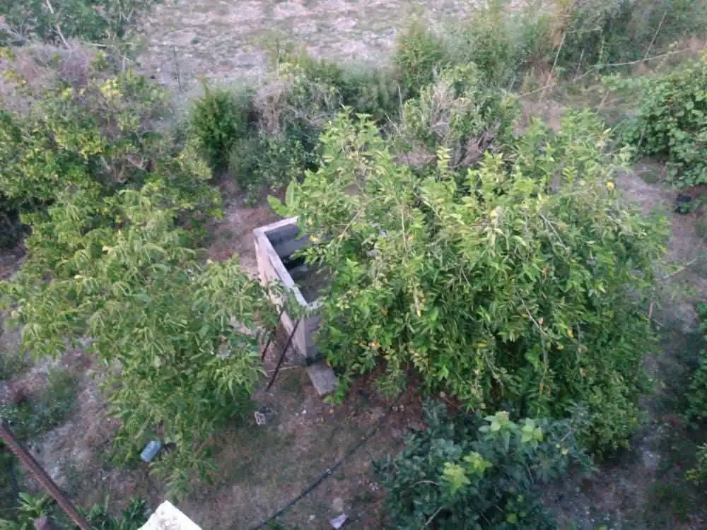 syria house property sale farmhouse ready to move lattakia ni we image