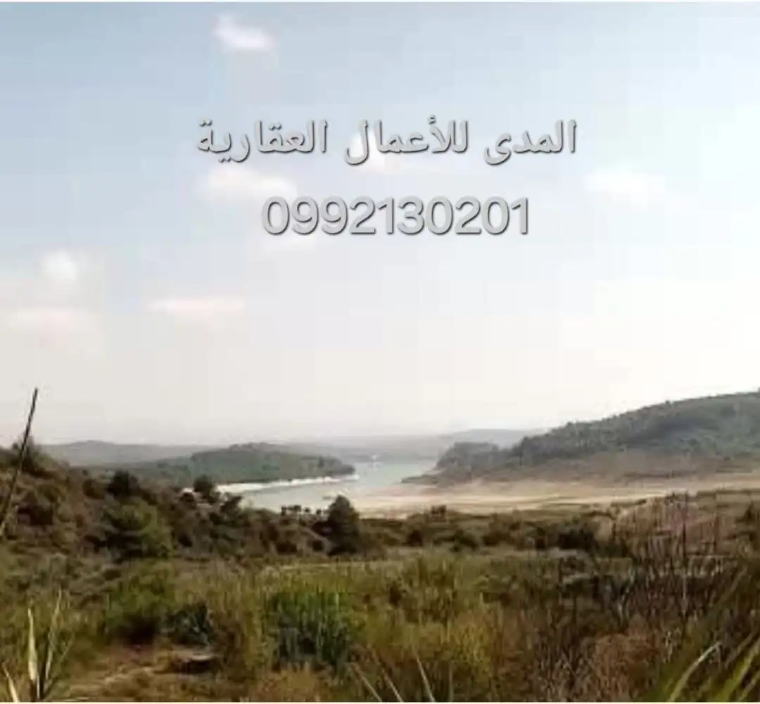 syria house property sale land lattakia ou vq card image