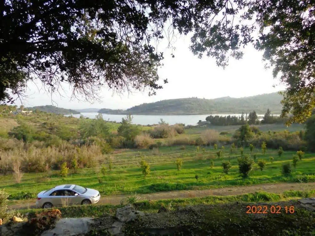 syria house property sale land lattakia pu fy image