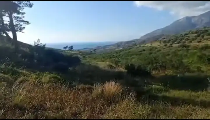 syria house property sale land lattakia pi gw card image