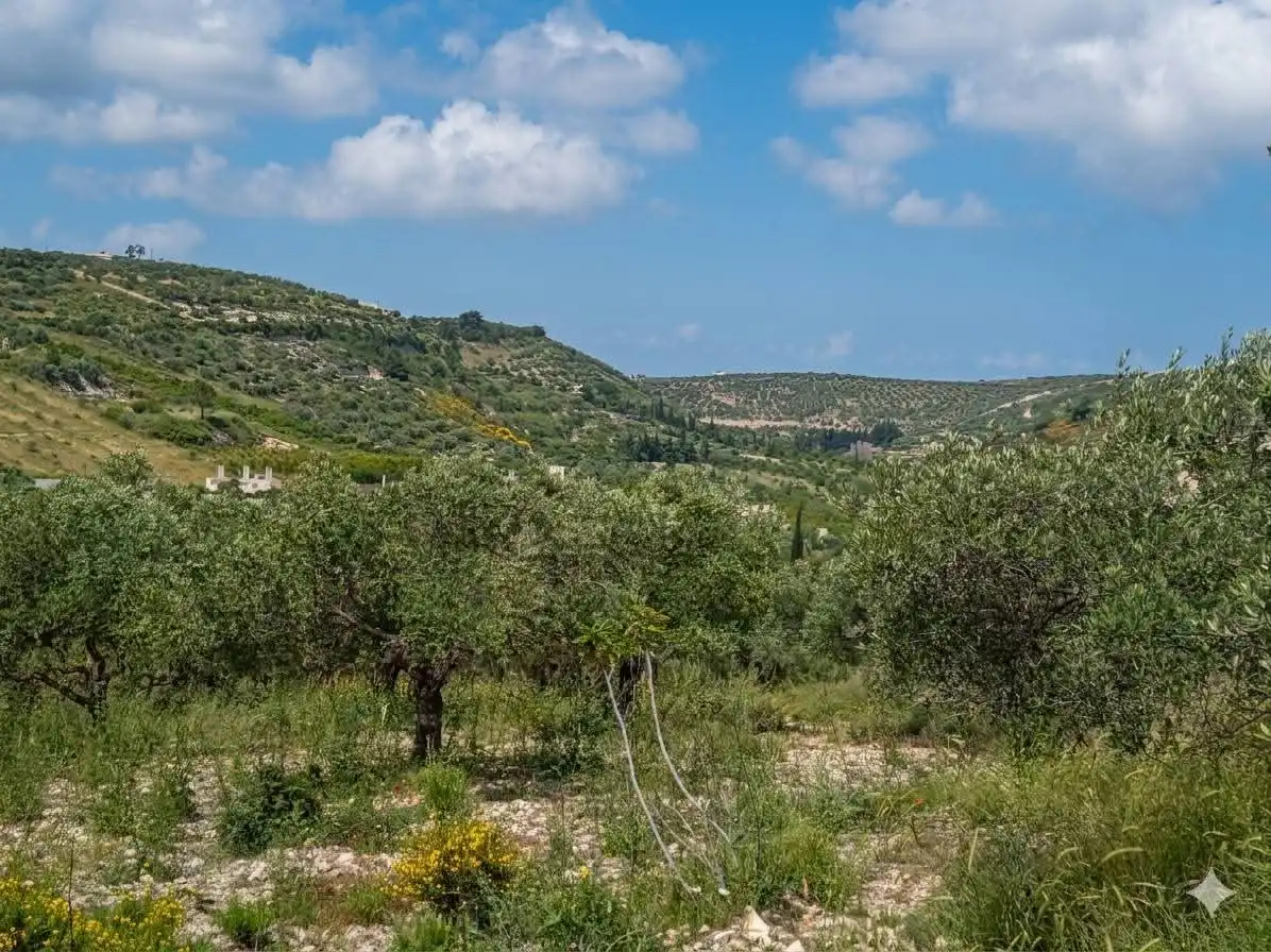 syria house property sale land lattakia vk ab image