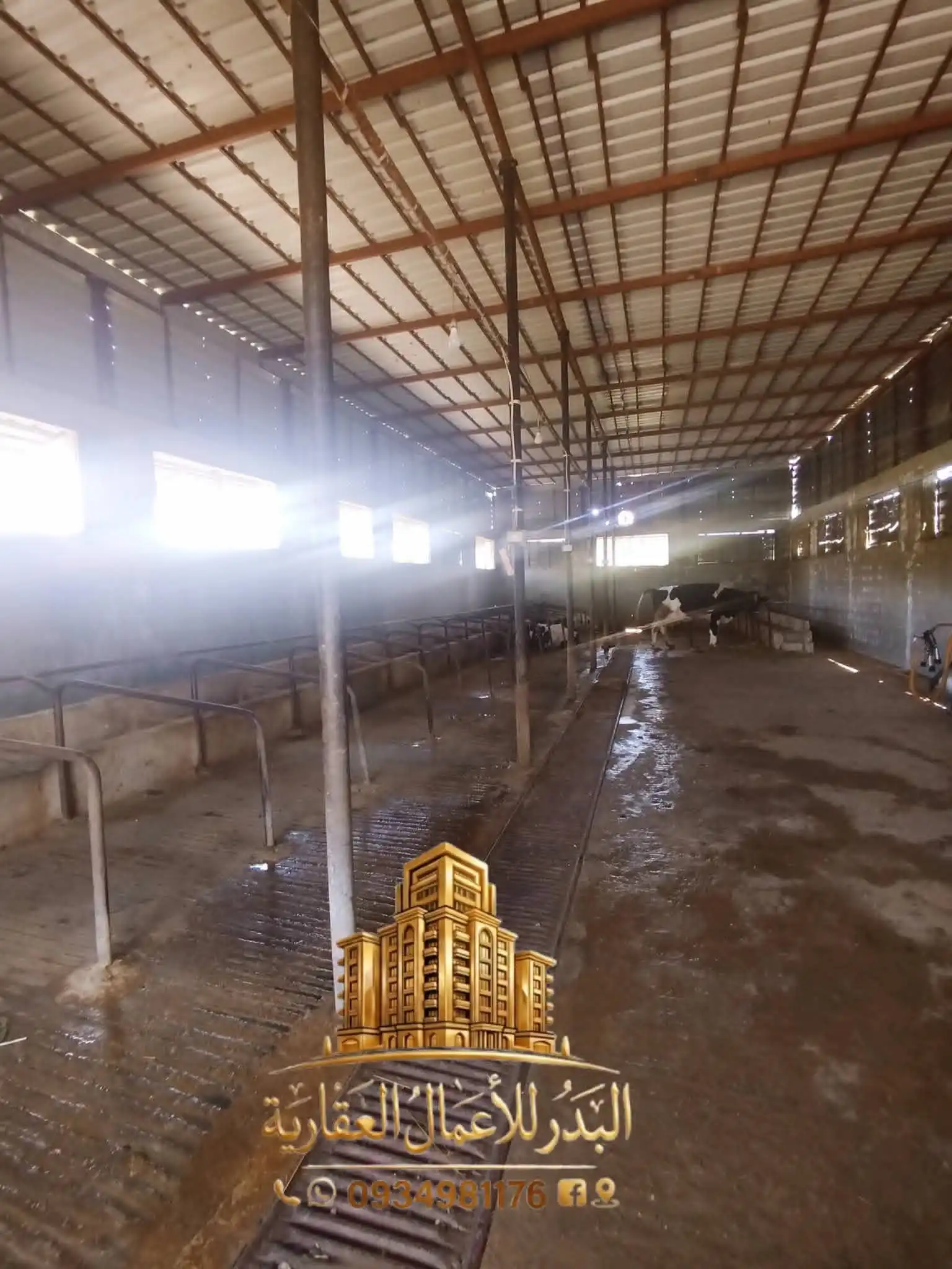 syria house property sale commercial ready to move lattakia zm vb image