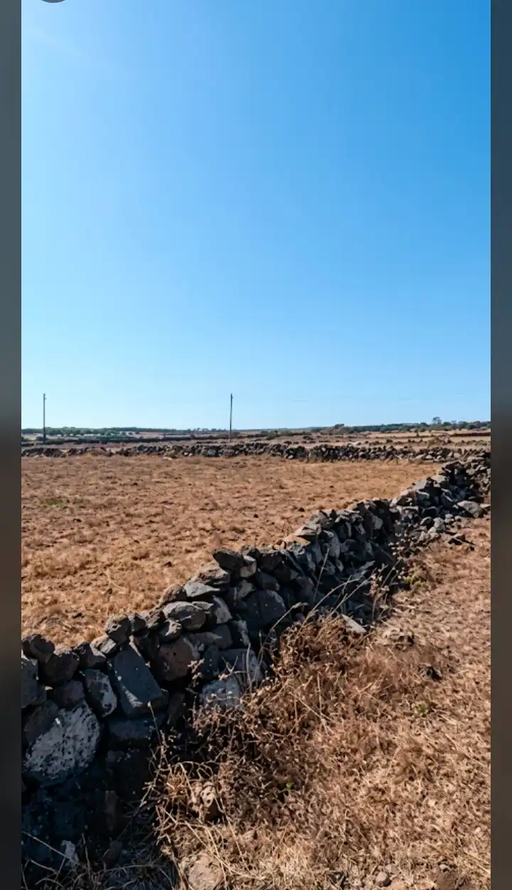 syria house property sale land homs wj xn image