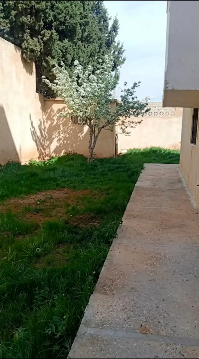 syria house property sale farmhouse ready to move homs np yw image