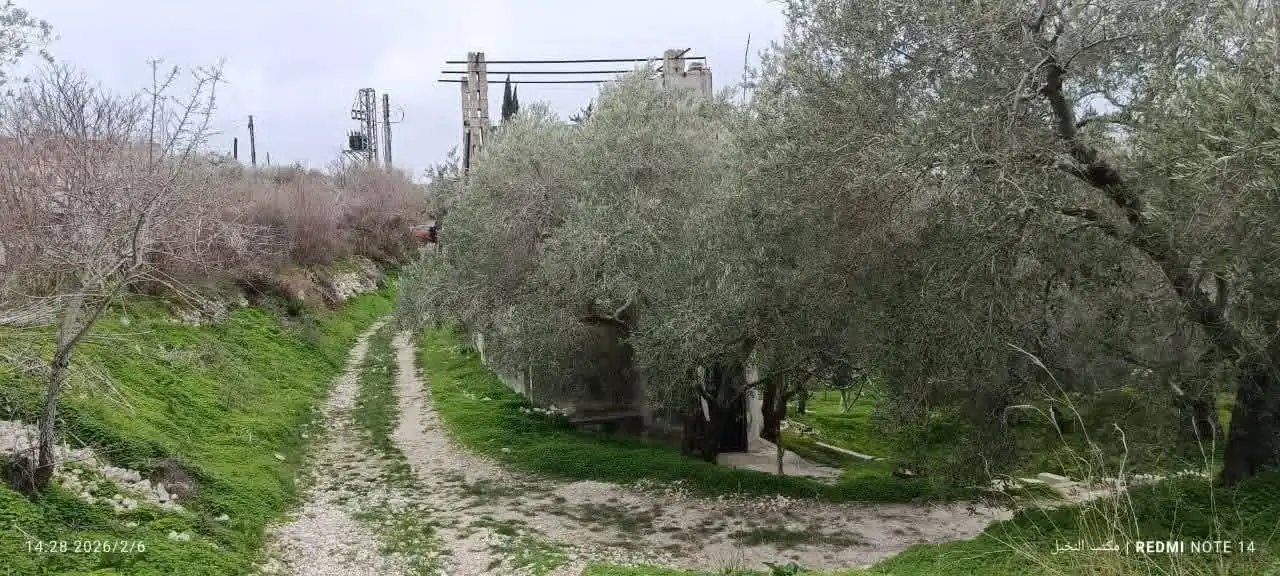 syria house property sale land lattakia at xl image