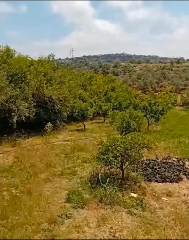 Farmhouse Property For Sale in Tartus - Syria House