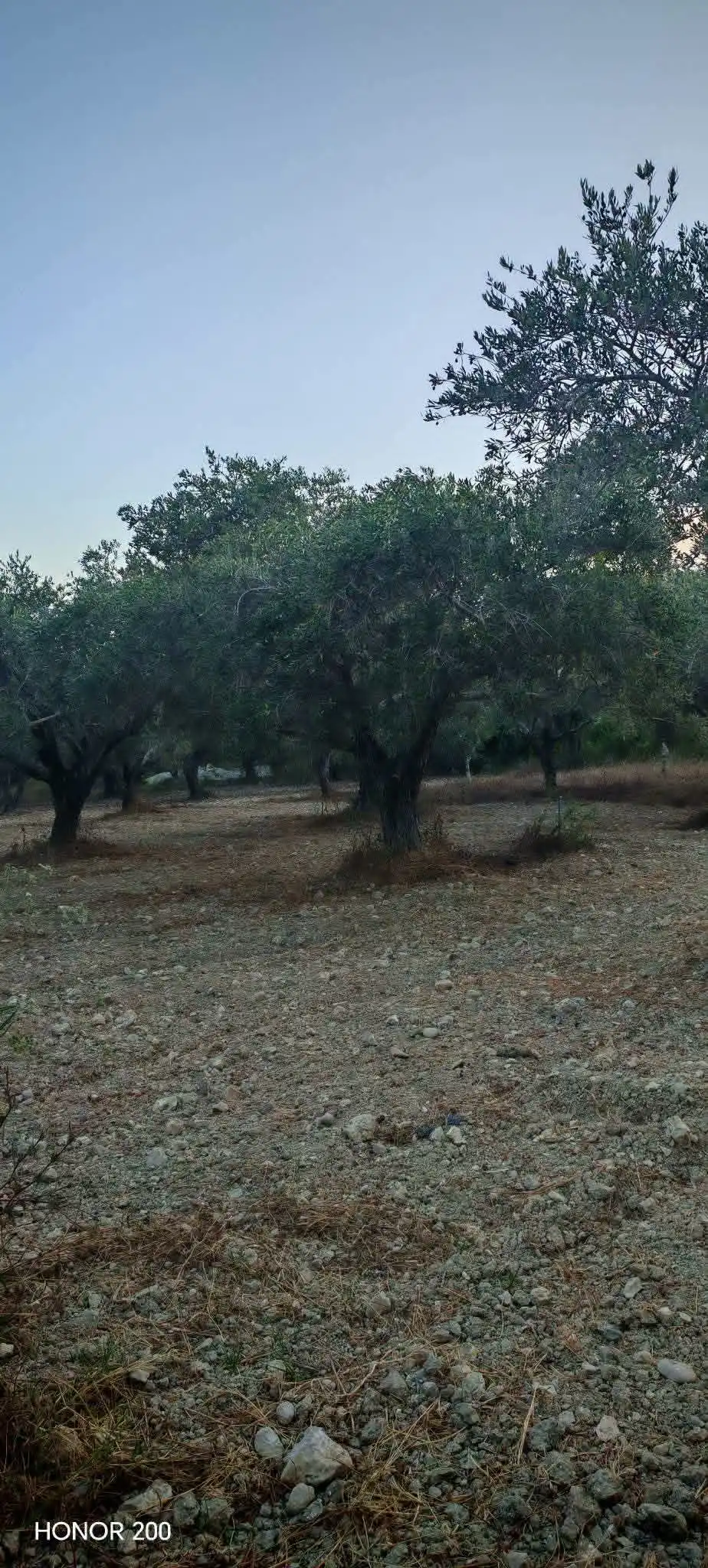 syria house property sale farmhouse lattakia pe ag image