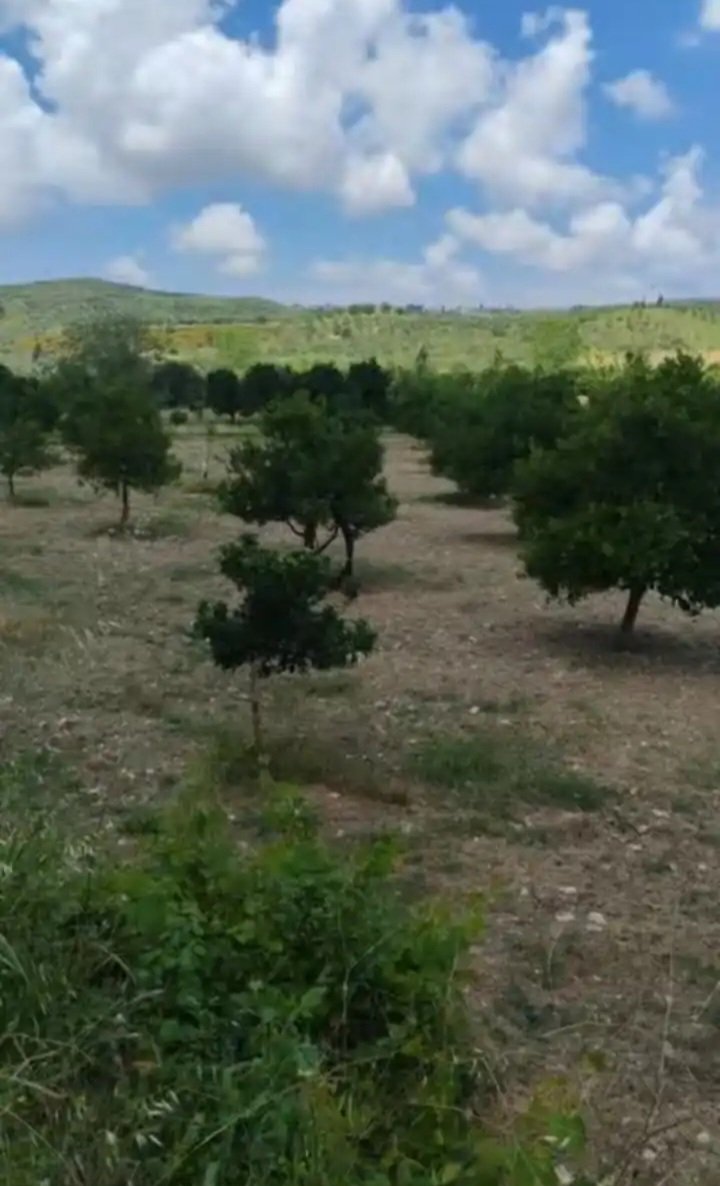 syria house property sale land lattakia jr ss image