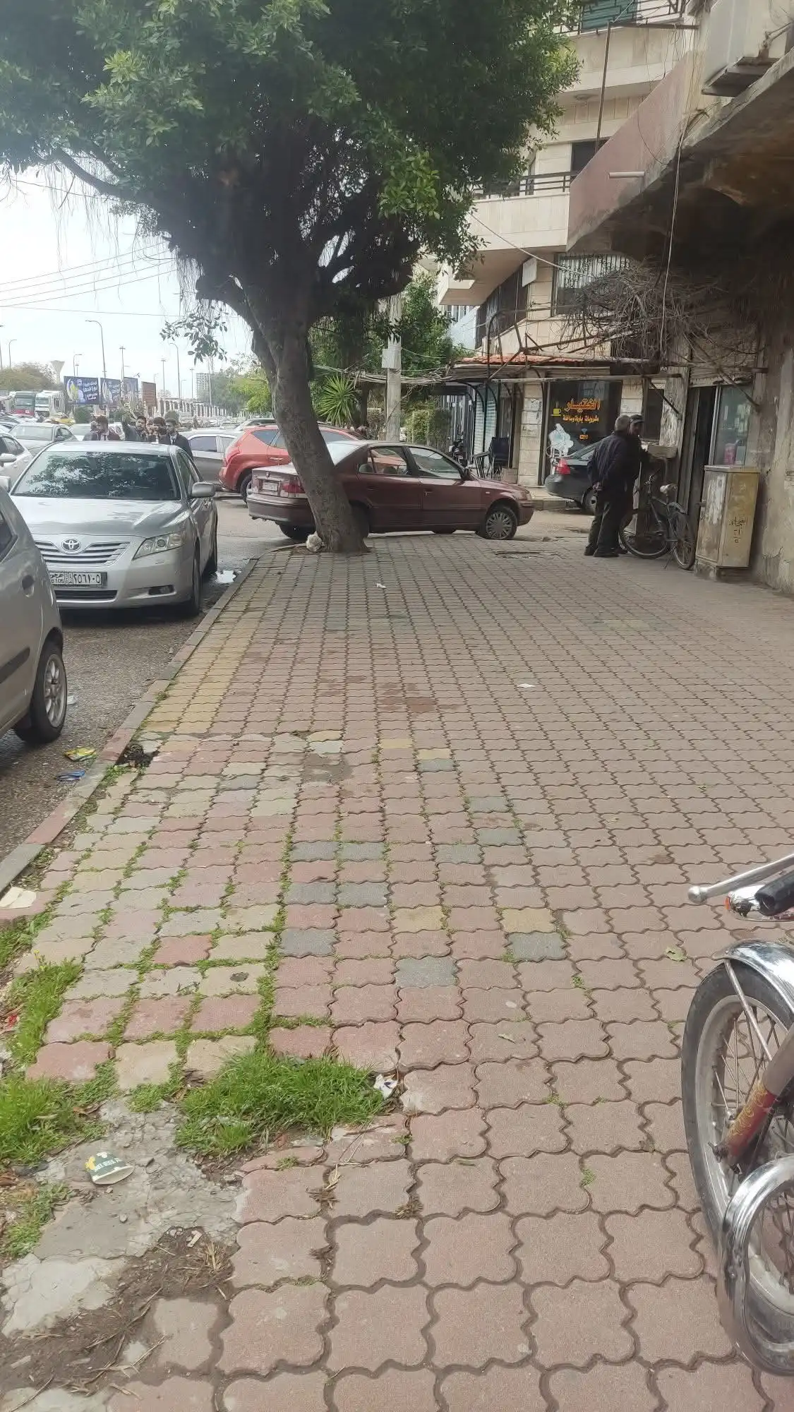 syria house property sale commercial ready to move lattakia es ln image