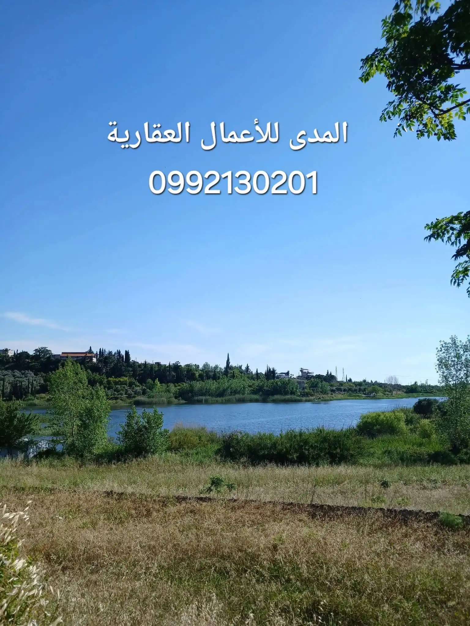 syria house property sale land lattakia rn jl image