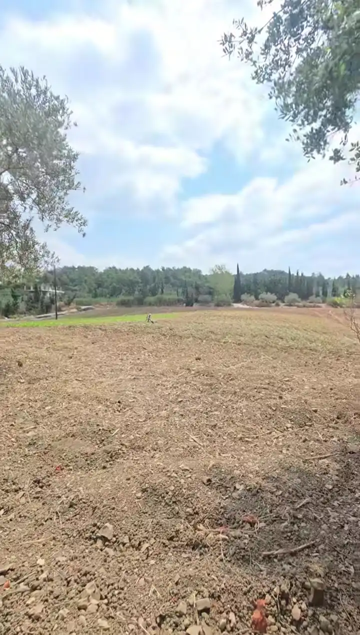 syria house property sale land lattakia ai nz image