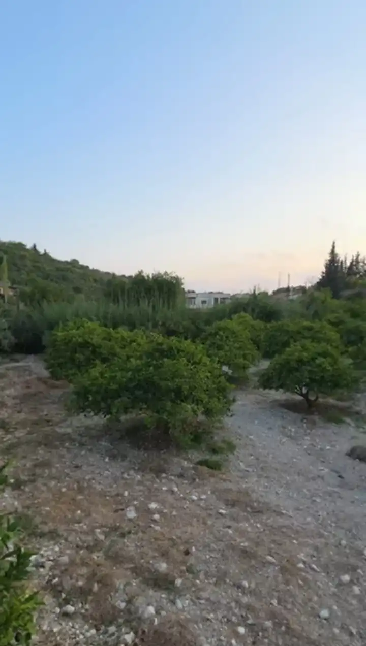 syria house property sale land lattakia rz vu image