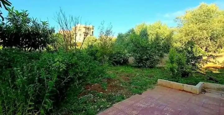 syria house property sale farmhouse ready to move lattakia pd ct image