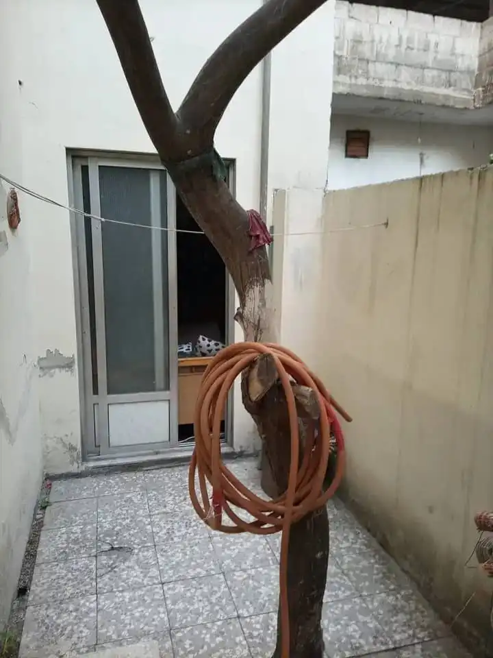 syria house property sale apartment ready to move homs bq bv image