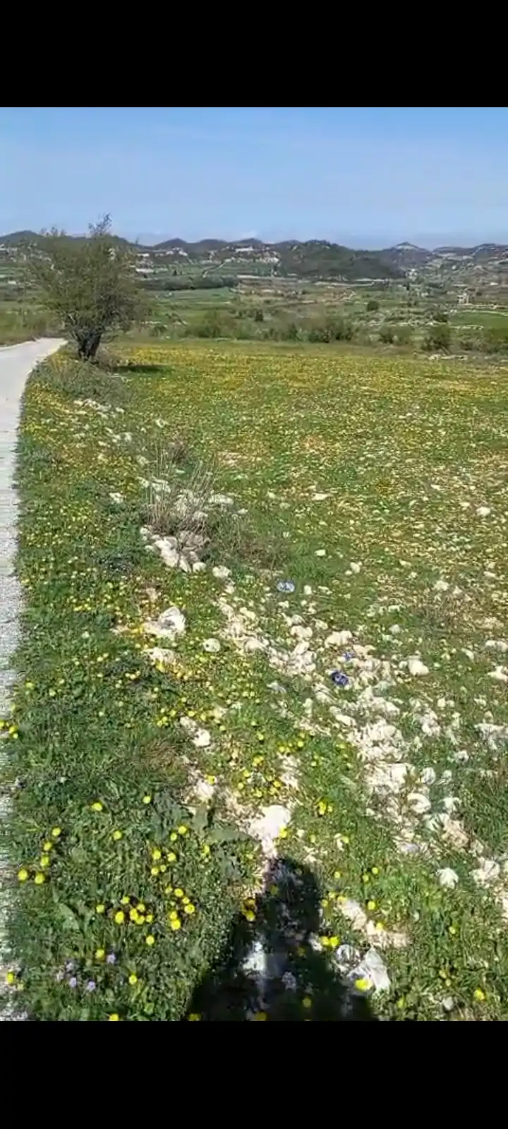 syria house property sale land lattakia qn wn image