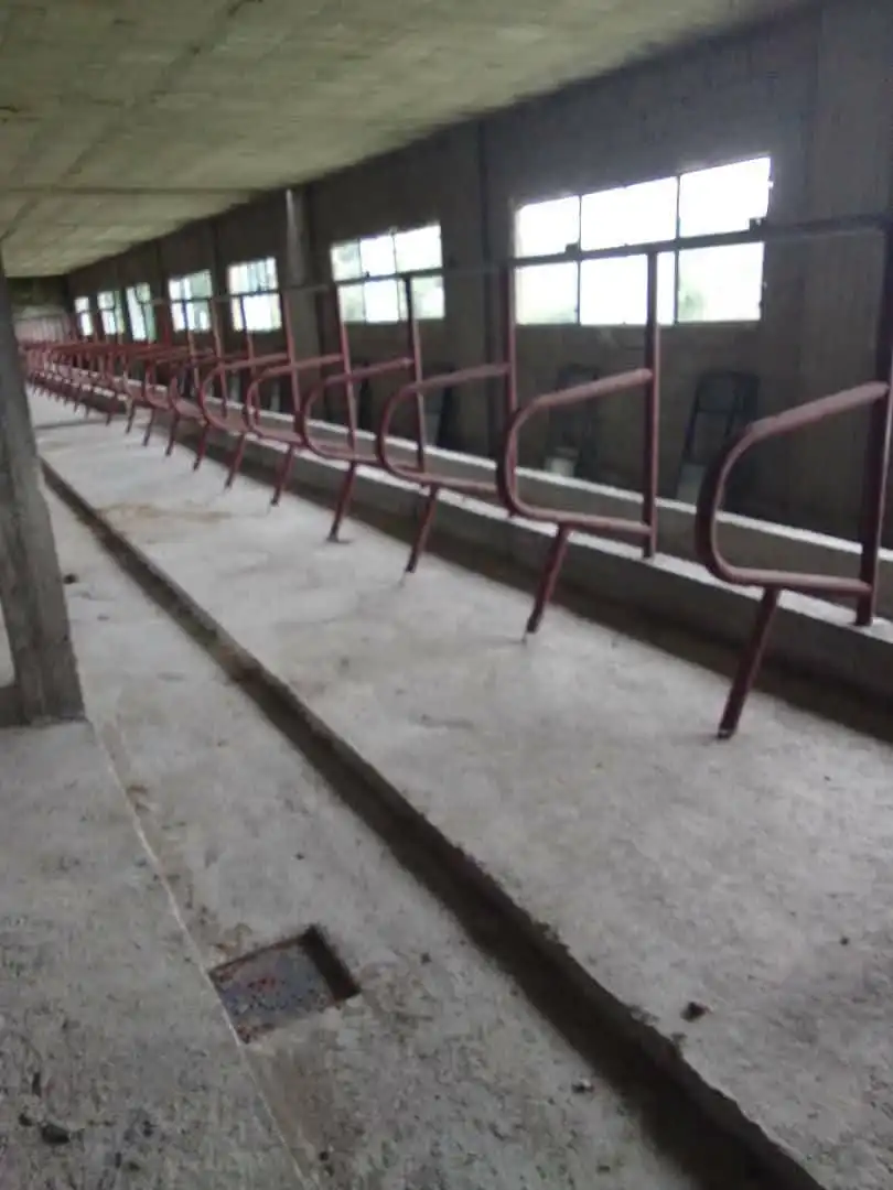 syria house property sale commercial shell core lattakia qa qh image