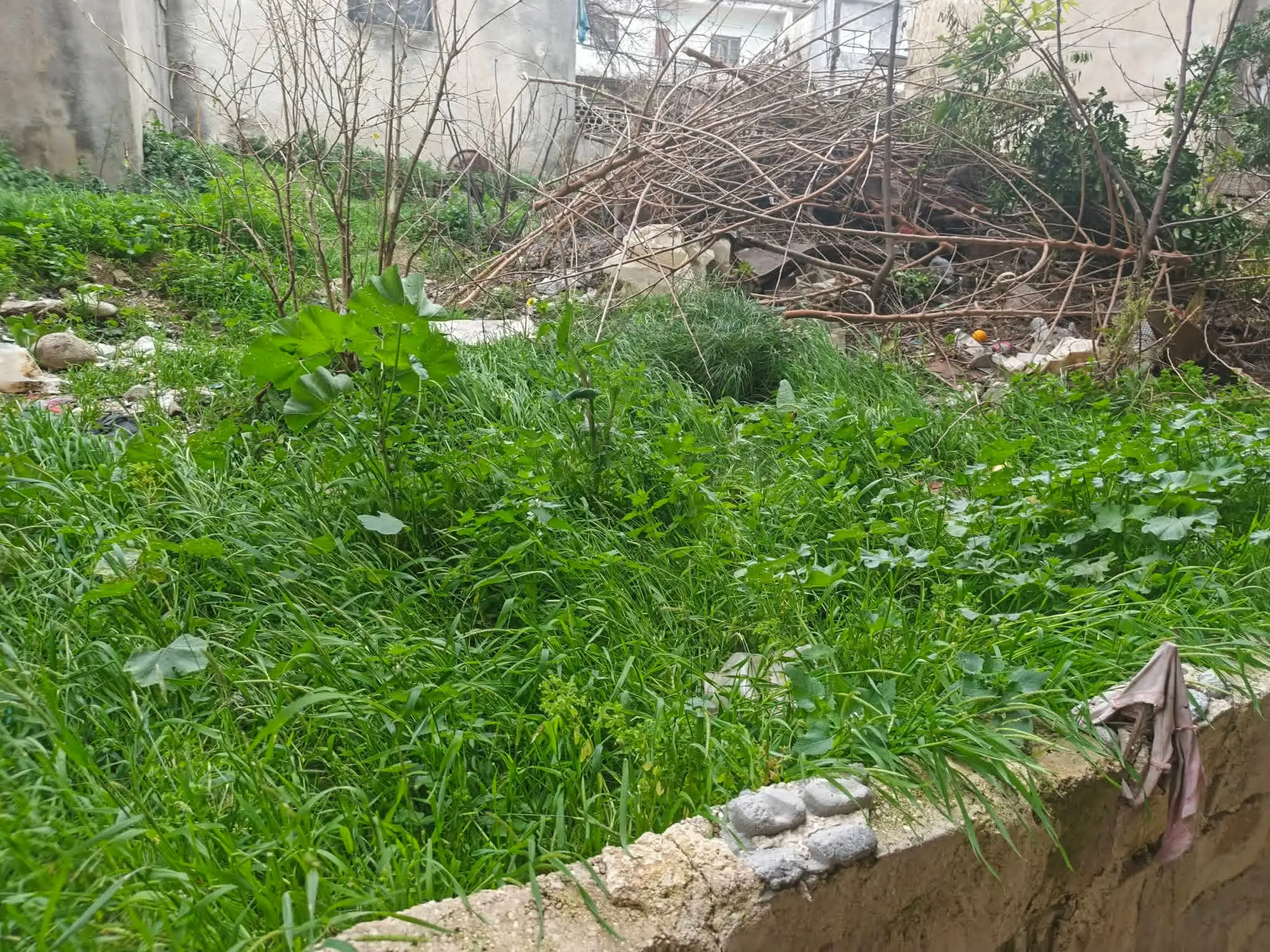 syria house property sale needs renovation lattakia vo image