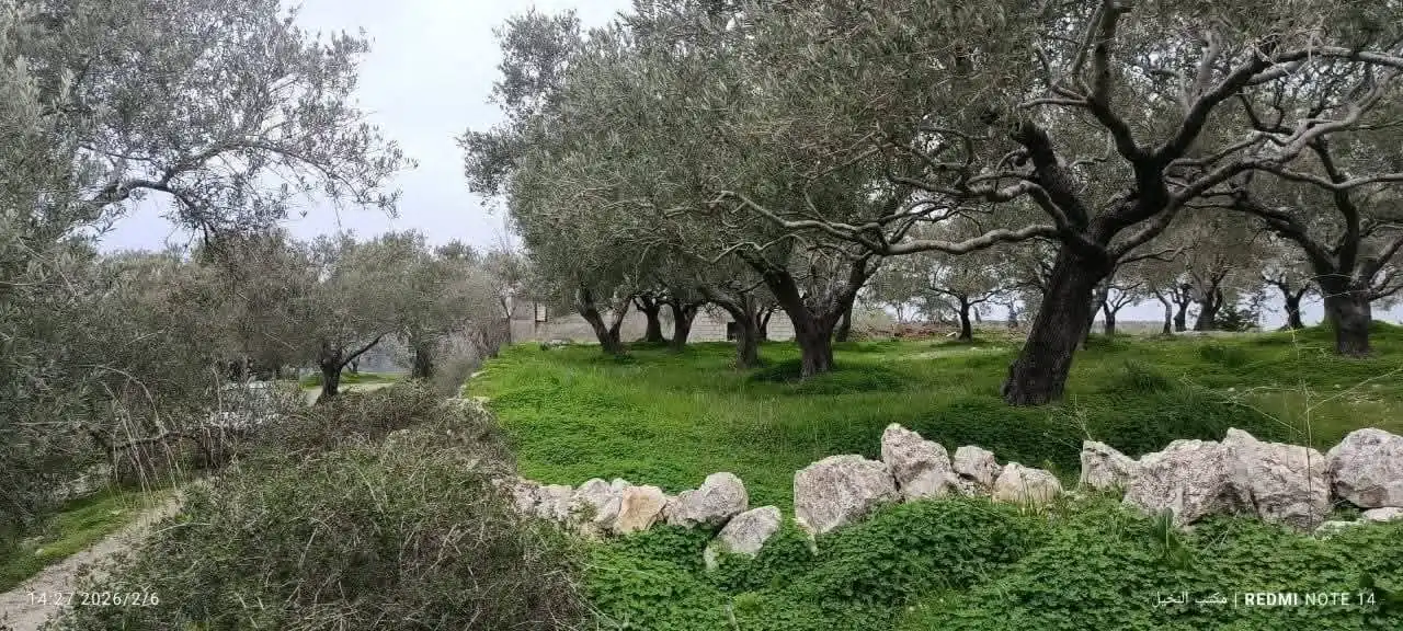 syria house property sale land lattakia at xl card image