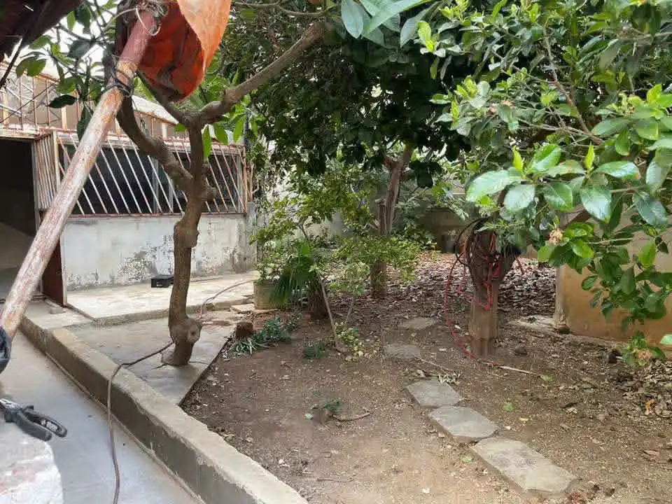 syria house property sale apartment ready to move tartus we cs image