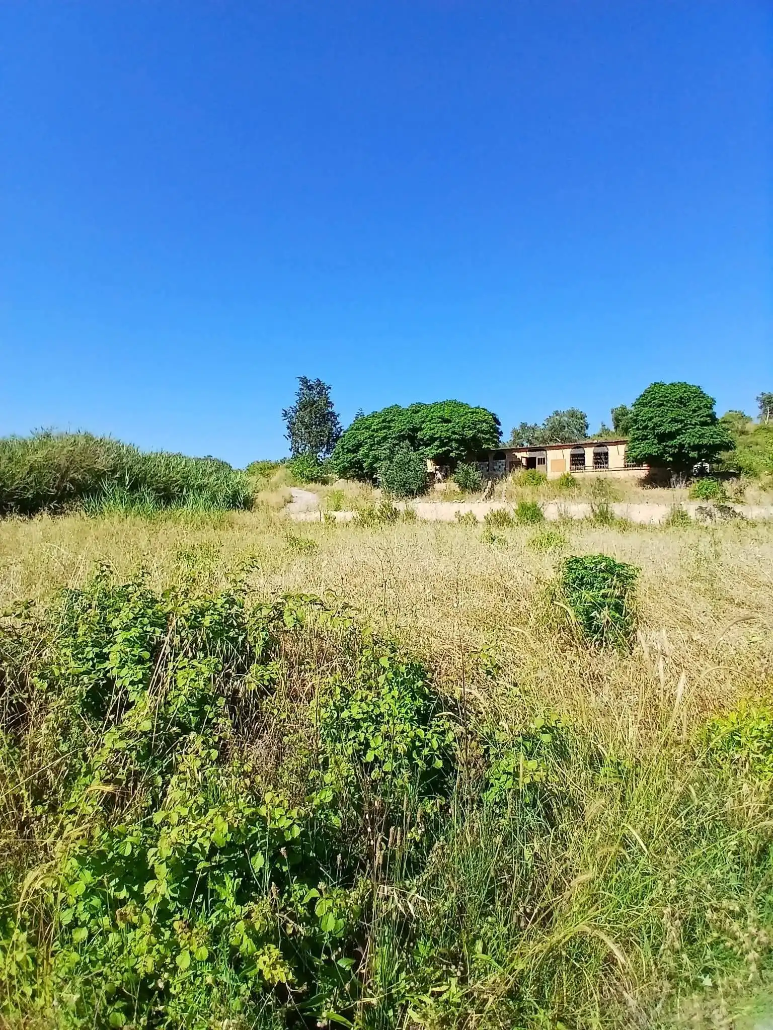 syria house property sale land lattakia rn jl image