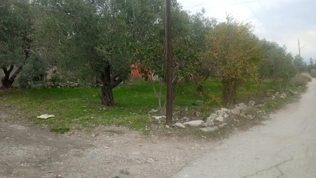 syria house property sale house needs renovation lattakia ta dg image