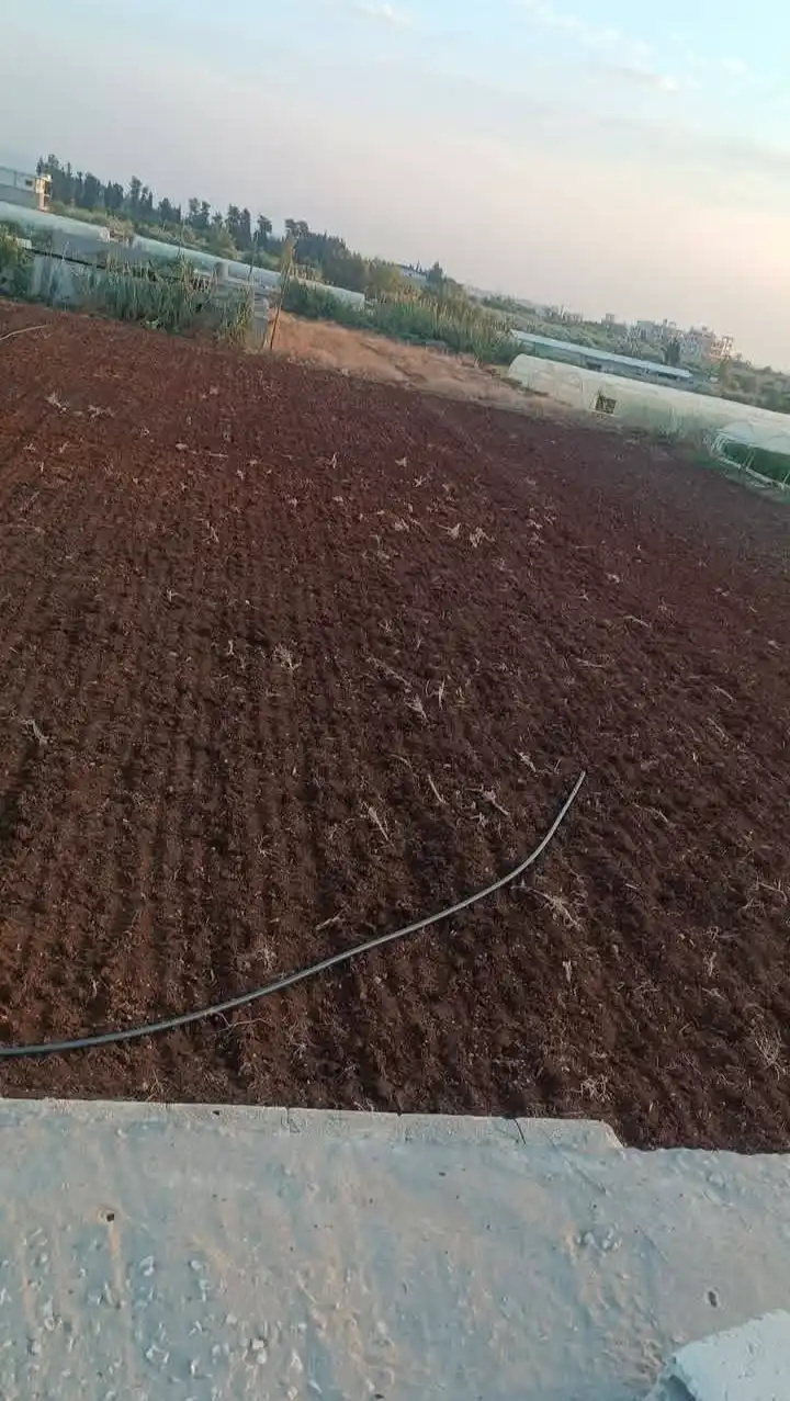 syria house property sale land lattakia ee qo image