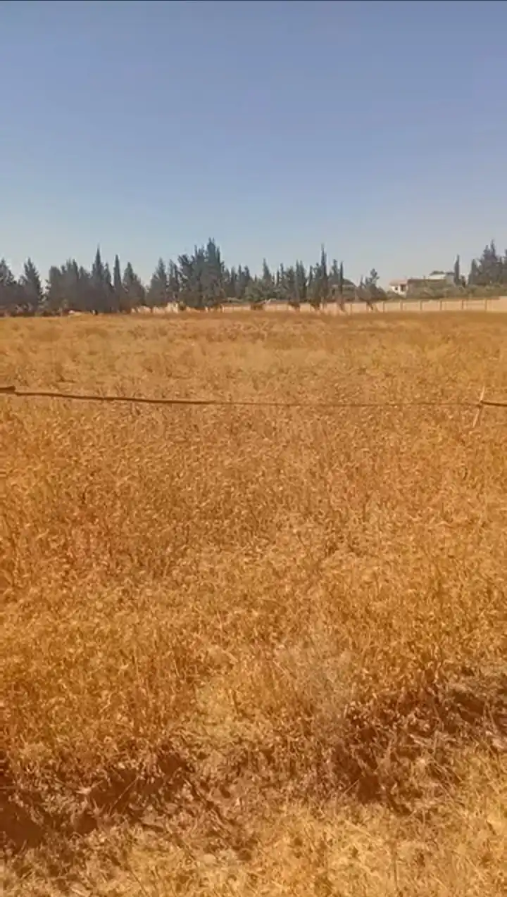 syria house property sale land rif dimashq zz tj image