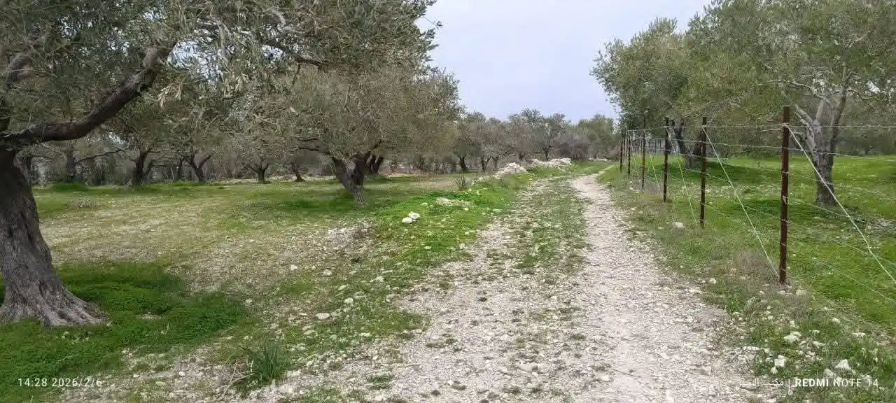 syria house property sale land lattakia at xl image