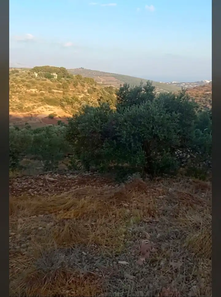 أرض عقار للبيع في طرطوس - Syria House