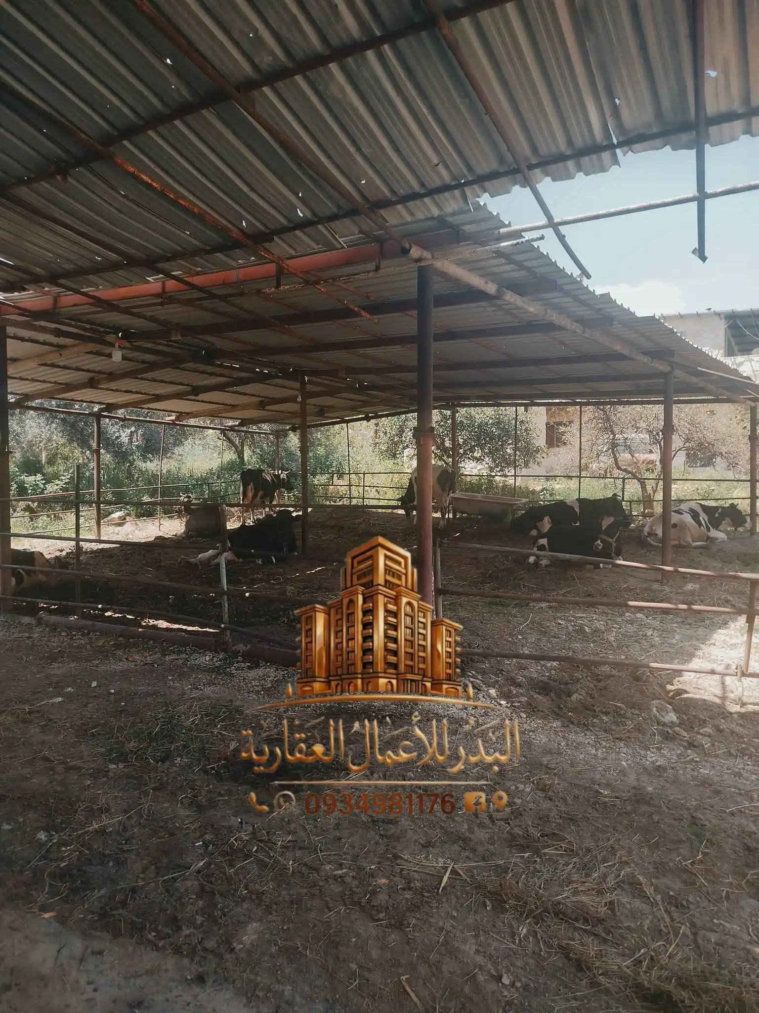 syria house property sale commercial ready to move lattakia zm vb image