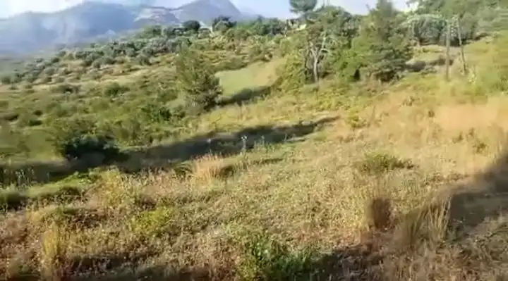 syria house property sale land lattakia pi gw image