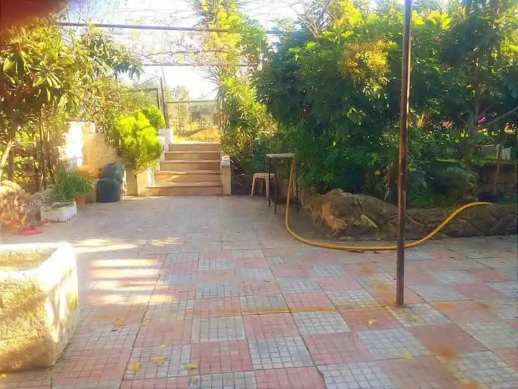 syria house property sale house ready to move lattakia ct bg image