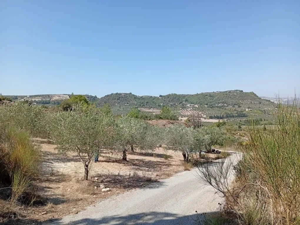 Property For Sale Land in Lattakia – Photo 4