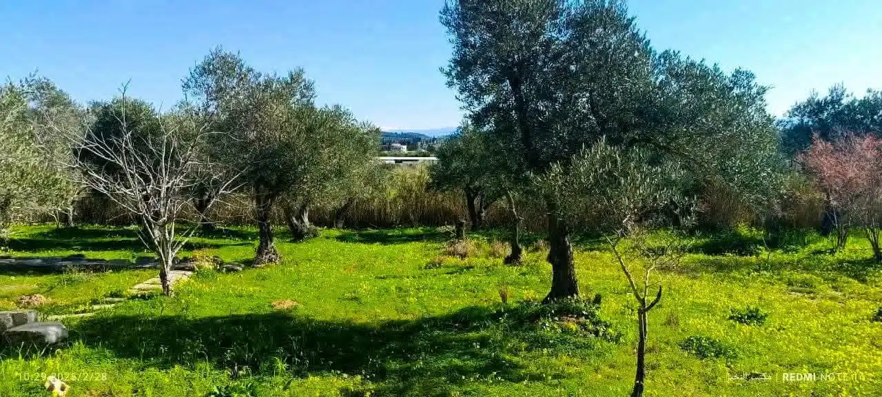 syria house property sale land lattakia rz pr image
