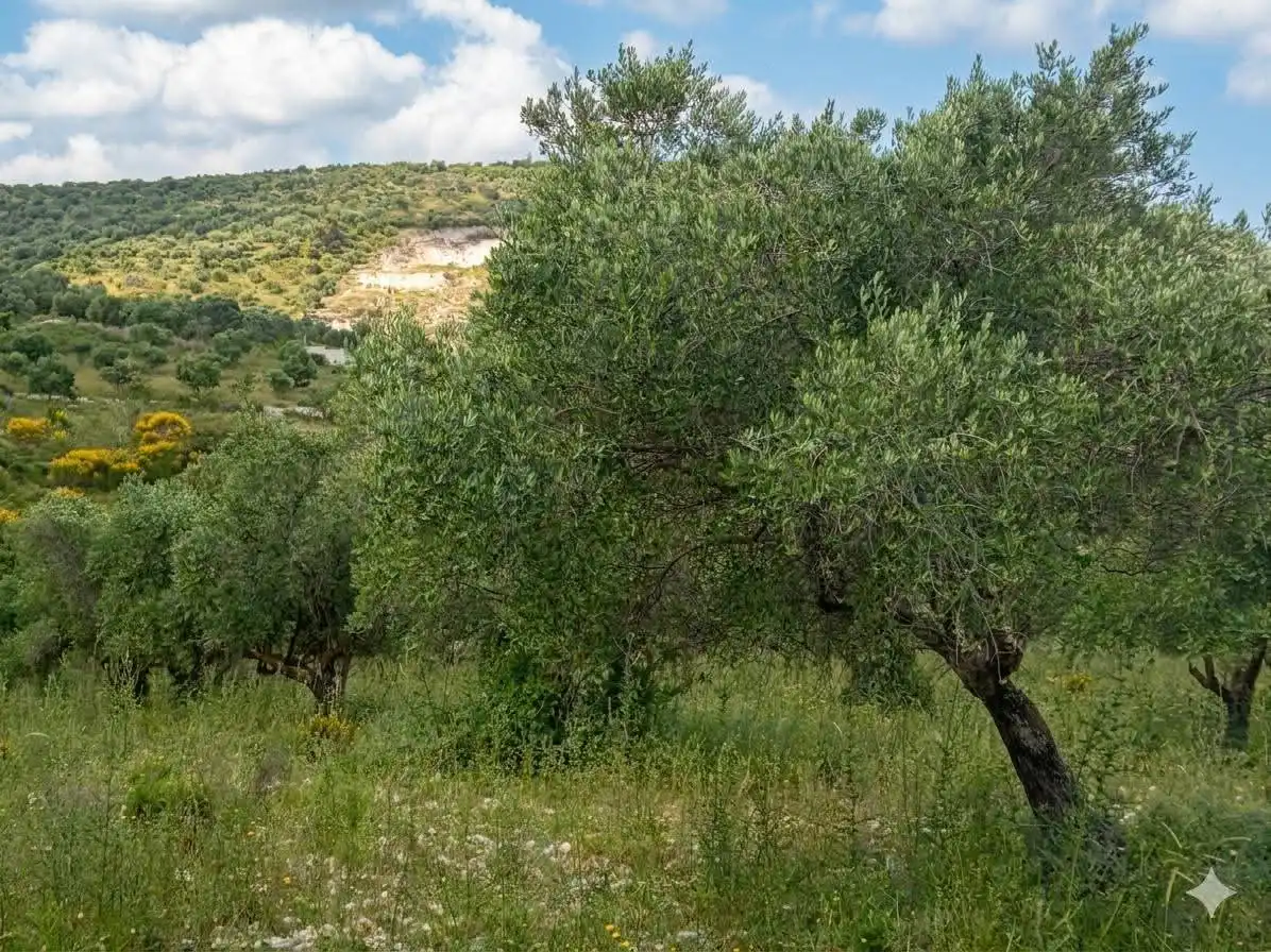 syria house property sale land lattakia vk ab image