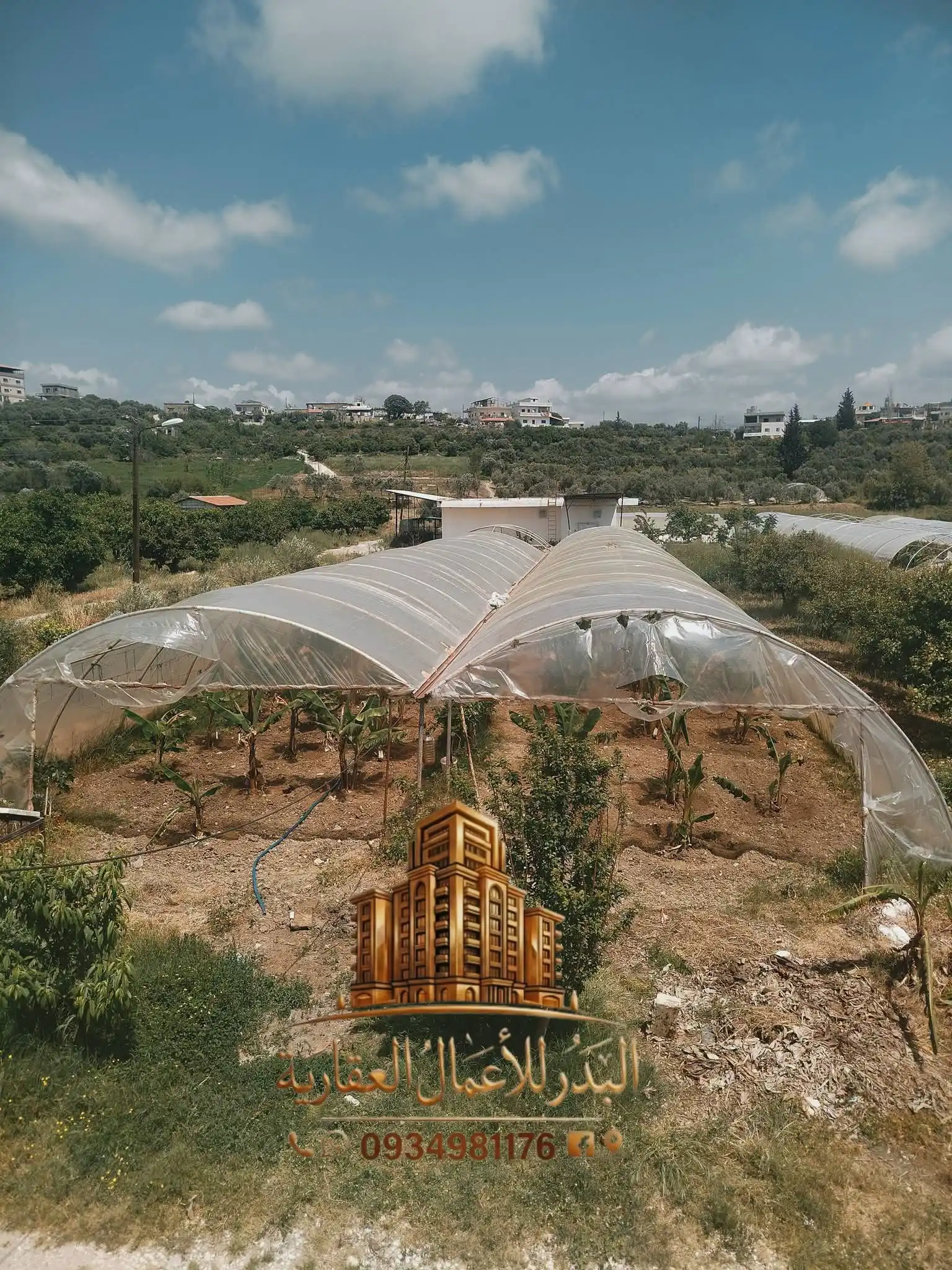 syria house property sale commercial ready to move lattakia zm vb image