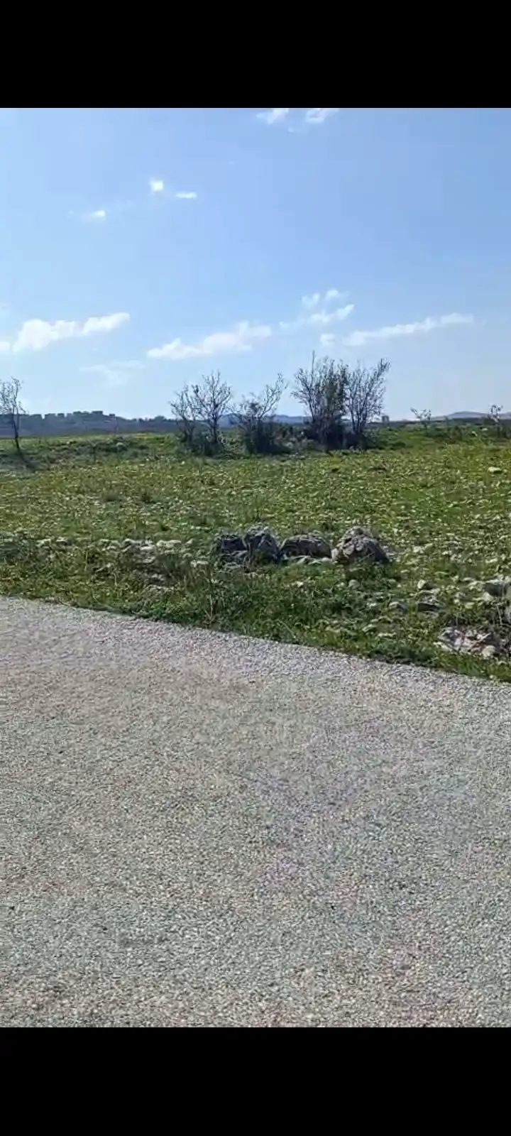 syria house property sale land lattakia qn wn image