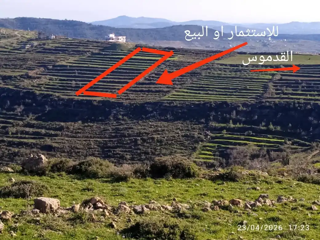 syria house property sale land tartus vy ck image