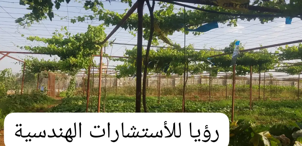 syria house property sale farmhouse idlib kr uq image