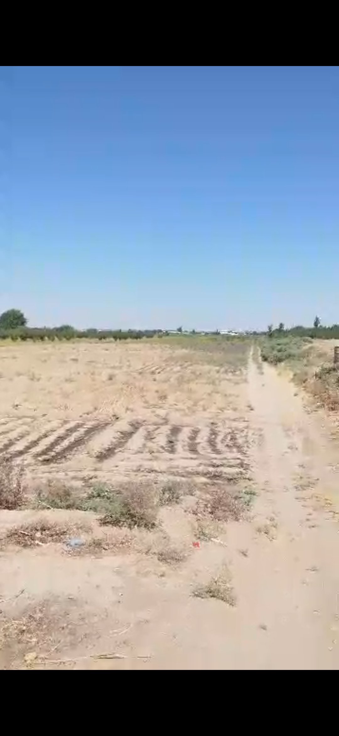 عقار للبيع أرض في الرقة – صورة 4