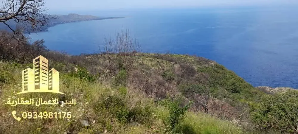 syria house property sale lattakia oz image