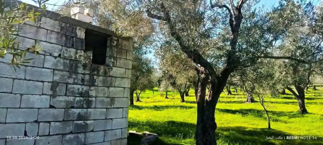 syria house property sale land lattakia rz pr image