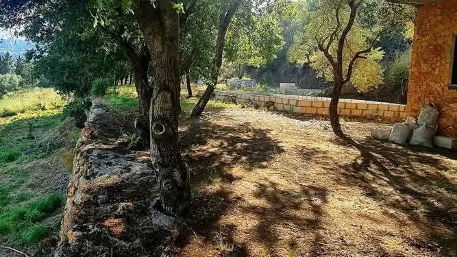 syria house property sale land lattakia pu fy image