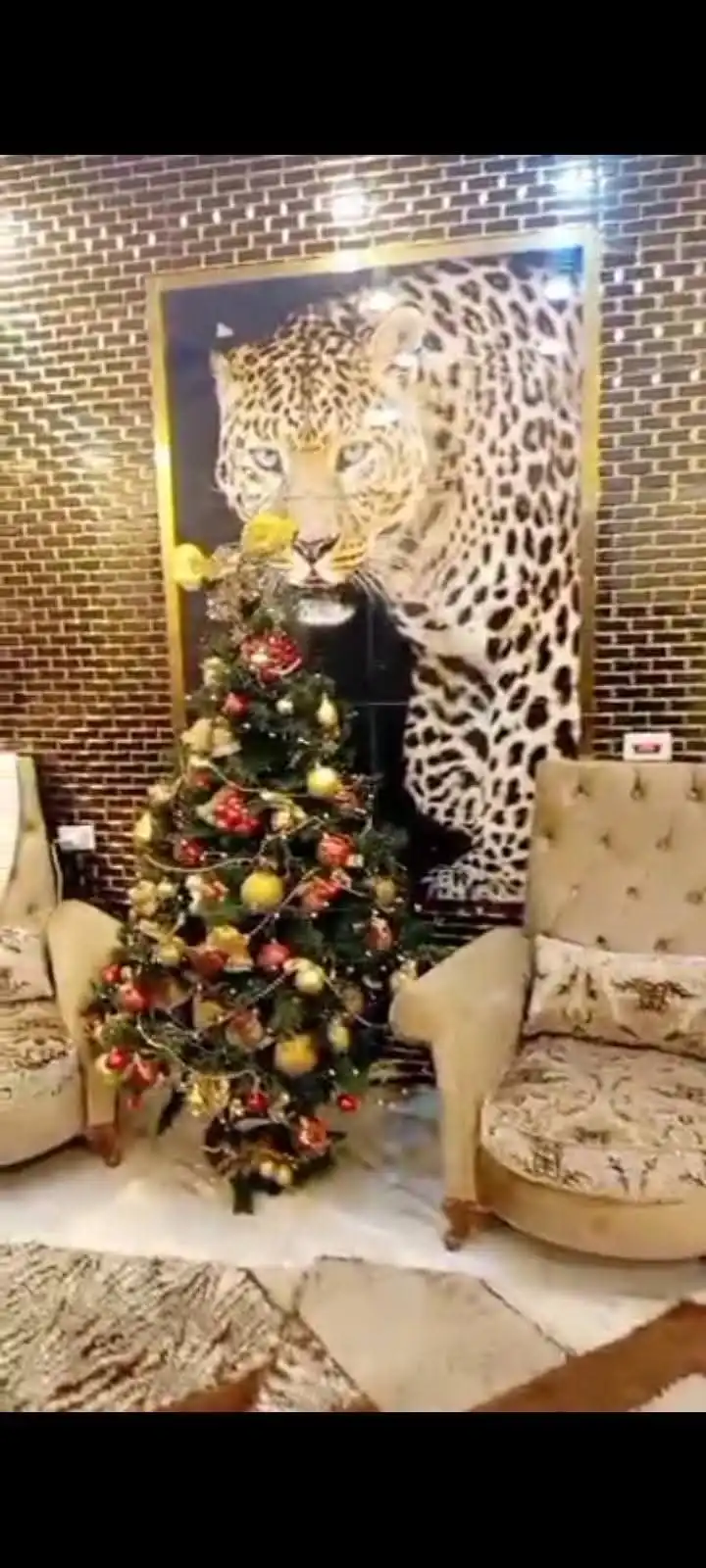 syria house property sale apartment ready to move al hasakah ix pj image