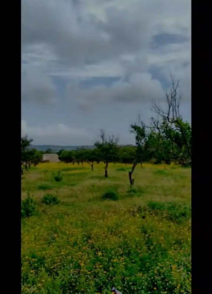 syria house property sale land lattakia mi zh image