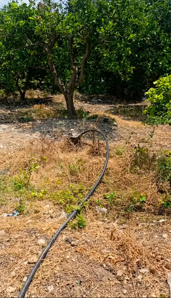 syria house property sale farmhouse ready to move lattakia qr ib image