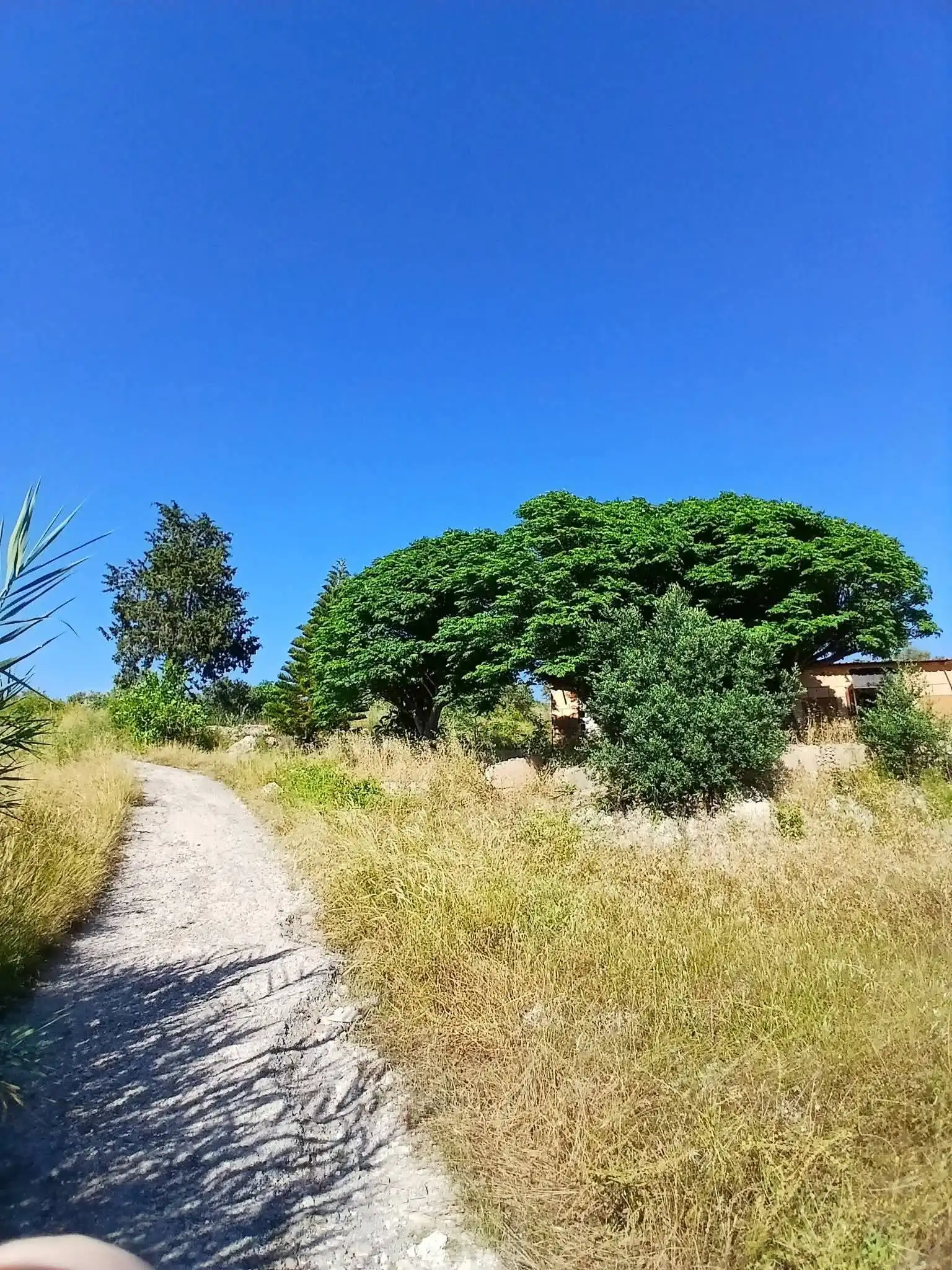 syria house property sale land lattakia rn jl image