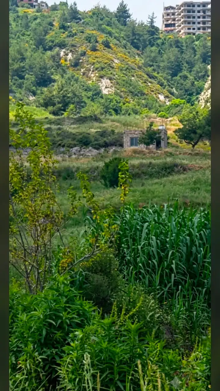 أرض عقار للبيع في اللاذقية - Syria House