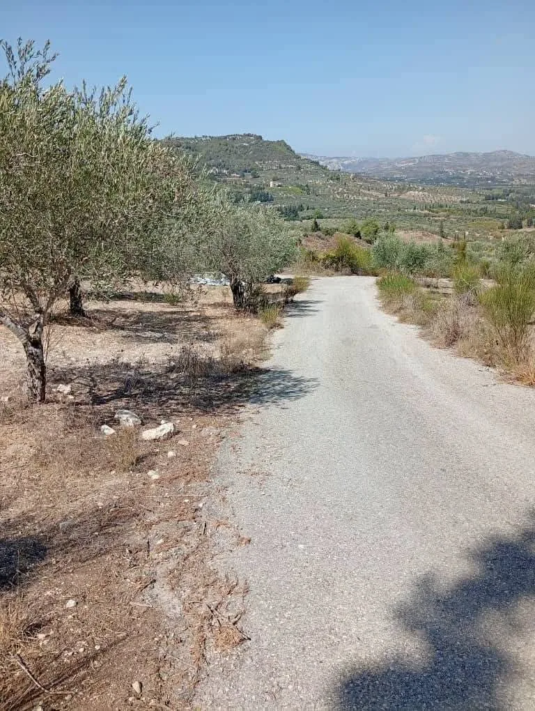 Property For Sale Land in Lattakia – Photo 3